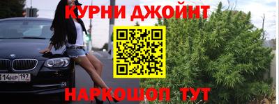 сатива Камышлов