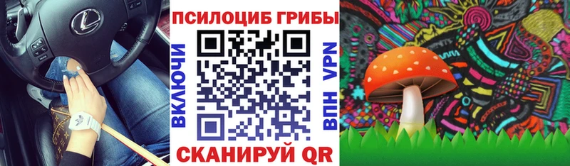 Псилоцибиновые грибы Magic Shrooms  блэк спрут сайт  Шахты 