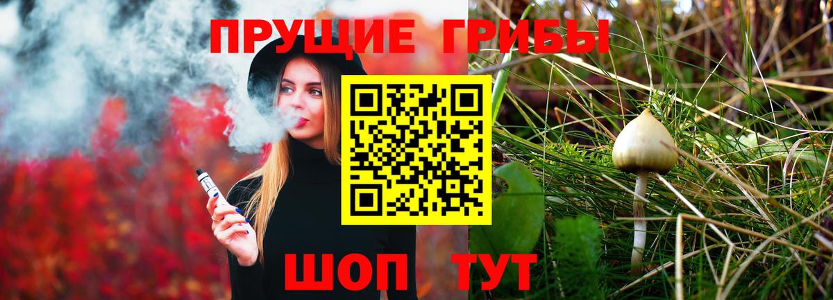 Шахты  Галлюциногенные грибы MAGIC MUSHROOMS  наркота  Вход с VPN 