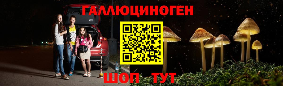 Псилоцибиновые грибы MAGIC MUSHROOMS Шахты